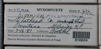 Image Associated With the Occurence